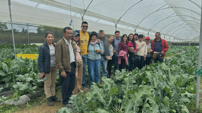 Nota-prensa-Familias-Paipa-invernadero