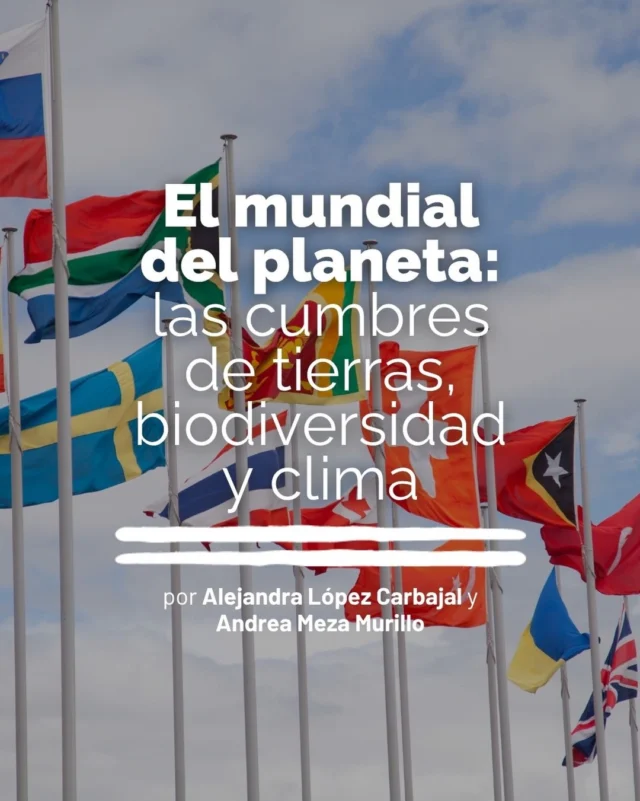 🌎 Desde agosto, se está jugando el mundial del planeta con las cumbres sobre tierras y sequía, biodiversidad y cambio climático. El desafío será lograr que estos procesos avancen de manera articulada y se traduzcan en acciones concretas para proteger los ecosistemas, enfrentar la crisis climática y garantizar un futuro sostenible.

Lee la columna de Alejandra López Carbajal y Andrea Meza Murillo y conoce por qué estas cumbres importan y qué está en juego. 👇

🔗 Lee la columna completa en el enlace de nuestra bio.